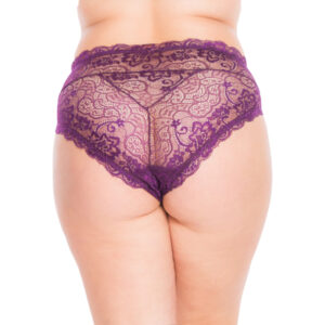 Free Move Plus Size All Lace Panties